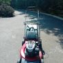 Gardencare self-drive lawnmower Image 2