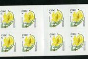 2008 Ireland Wild Flowers N value Definitive Stamp Booklet Mint Never Hinged (MNH). Hibernian HB156