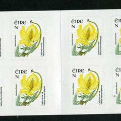 2008 Ireland Wild Flowers N value Definitive Stamp Booklet Mint Never Hinged (MNH). Hibernian HB156