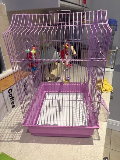 bird cage
