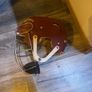 cooper helmet Image 3