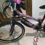 Raleigh Krush Jewel, 24" wheel bike, excellent condition Image 2