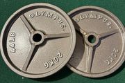 2 x 20kg Olympic plates