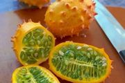 (K) Kiwano Horned Melon seeds 0.3g (608645)