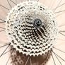 bike wheel Image 3