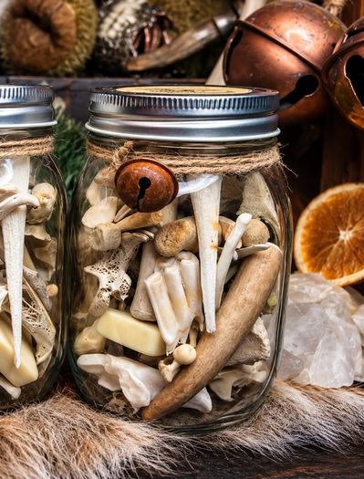 Oddities Bone Jars Curiosity Osteology Display