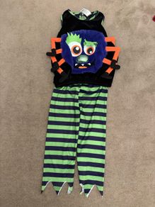 Spider Halloween costume