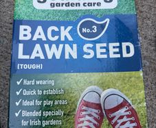 Grass seed