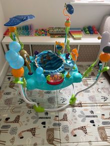 Baby Bouncer