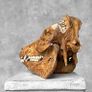 Authentic Hand Carved Wild Boar Skull - Bone Image 2