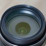 Nikon COOLPIX P900 16MP Bridge Camera 83x Optical Zoom 24-2000mm Wildlife Photography Wi-Fi EVF Full HD 1080p Video Image 10