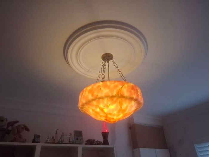 Beautiful Flycatcher light shade