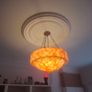 Beautiful Flycatcher light shade Image 7