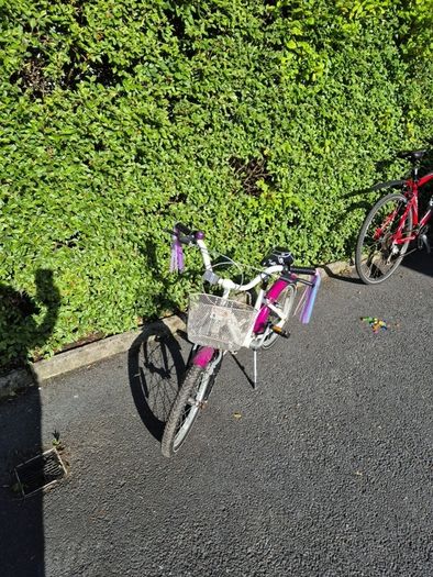 Girls 18" Bike
