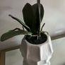 plant artificial orchids Image 3