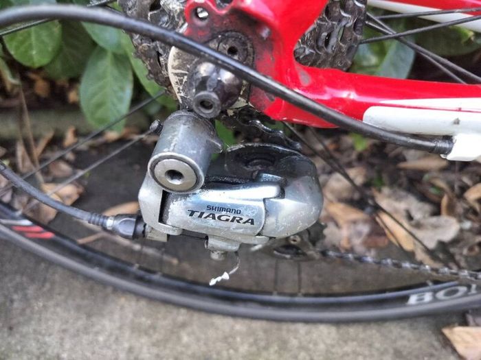 Trek racing bike