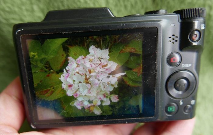 Maginon SZ-24 Digital Compact Camera 16,1MP - 24 x Optical Zoom Tested (battery cover is missing)