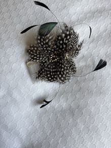Fascinator