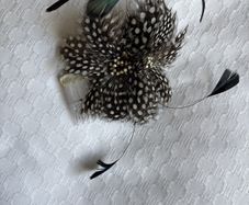 Fascinator