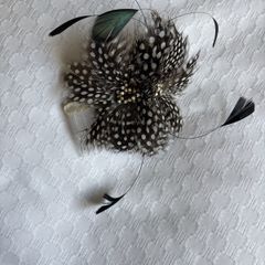 Fascinator
