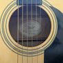 Fender DG-5 Image 2
