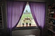 Purple Curtains