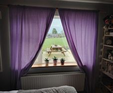 Purple Curtains