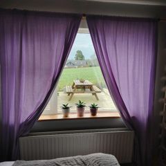 Purple Curtains