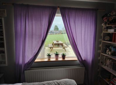 Purple Curtains