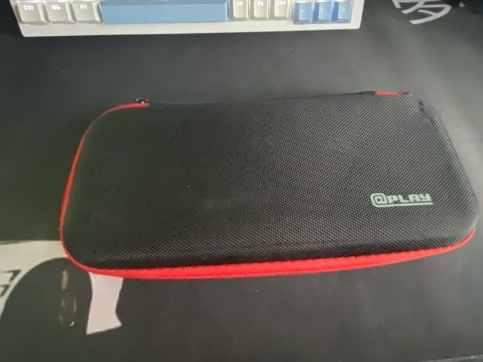 nintendo case 1