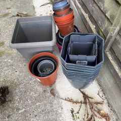 plant pots
