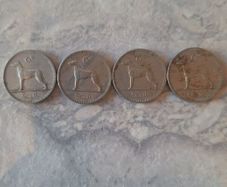 4 Irish 6 pence