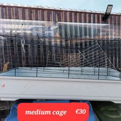 Guinea pig cage