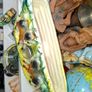 Antique Items for sale, PRICE IS FOR 1 ONLY Postage Available or Collection, Image 3