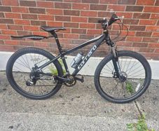 adults bike
