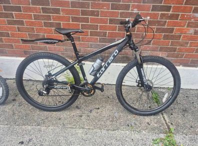 adults bike