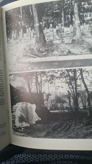 Trees For Town And Country By Peter Bridgeman. With A Frontispice By Henry Moore. Rare Vintage First Edition. Large Volume Hardback With Dustjacket In In Good Condition.