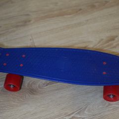 Penny board  mini skateboard  22inc