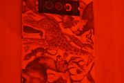 Children's book illuminature