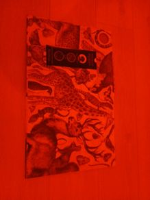 Children's book illuminature