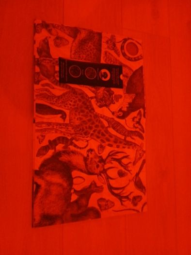 Children's book illuminature