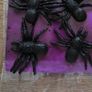 Halloween stick on spiders Image 2