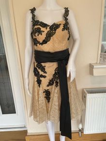 Nude/Gold & Black Lace dress