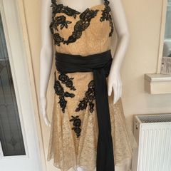 Nude/Gold & Black Lace dress