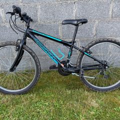 Wyser Strong 240 24"