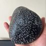 Natural Fossilized Coral Pebble Image 4