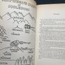 Duncton Found -Hardback- (William Horwood) Image 4