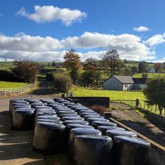 Silage