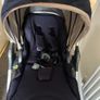 Buggy Image 3