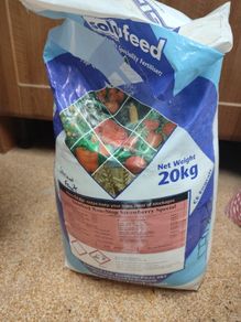 Fertilizer Strawberry Special Solufeed Water Soluble 20KG